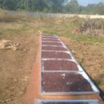 Robusta Central Java Temanggung Natural